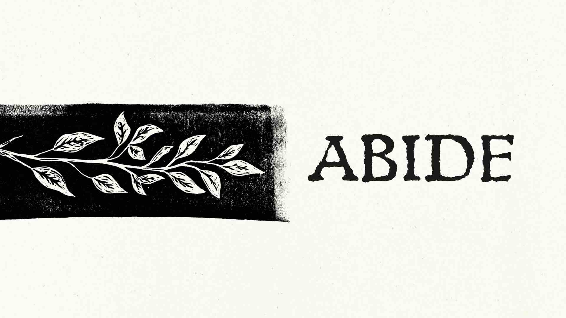 AbideWebthumbnail74kb.jpg.jpeg